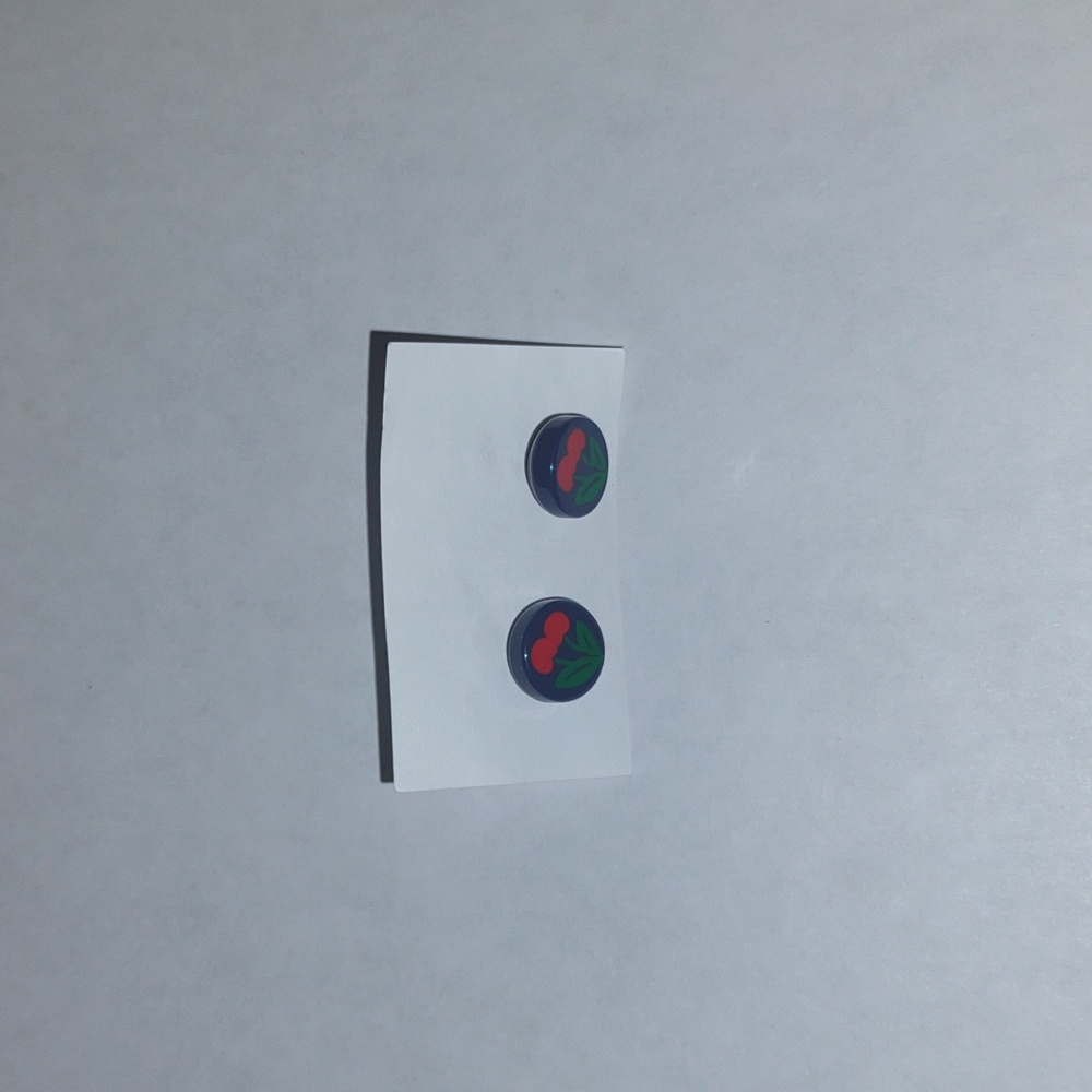 NWT Earrings